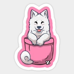 Pocket Samoyed Sticker